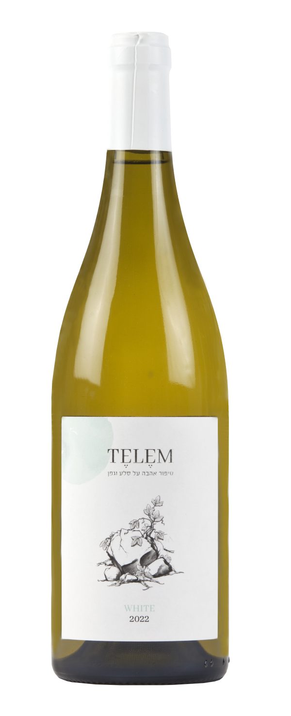 יין לבן TELEM